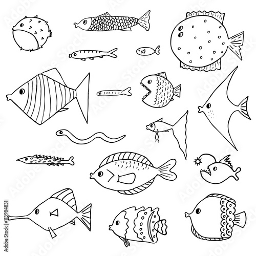 Set of exotic fish. Vector illustration. Isolated