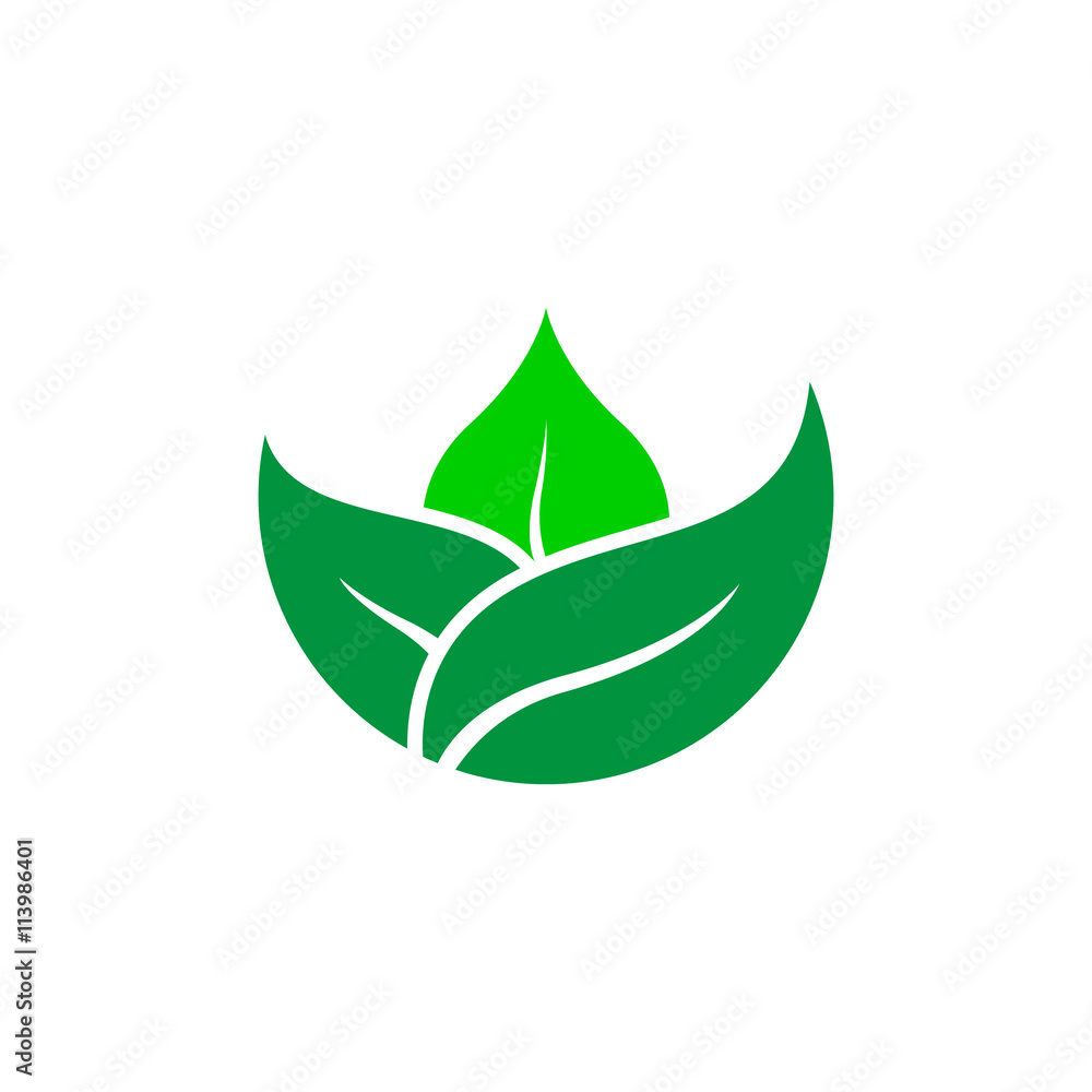 Green Nature Agriculture Loge Designs Vector