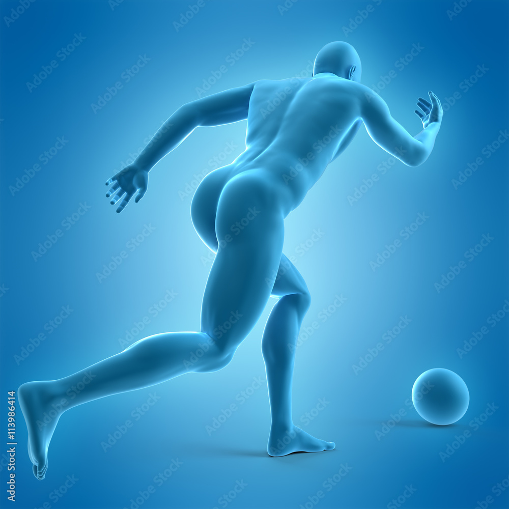 medically accurate 3d illustration of bowling player medically accurate 3d illustration of bowling player