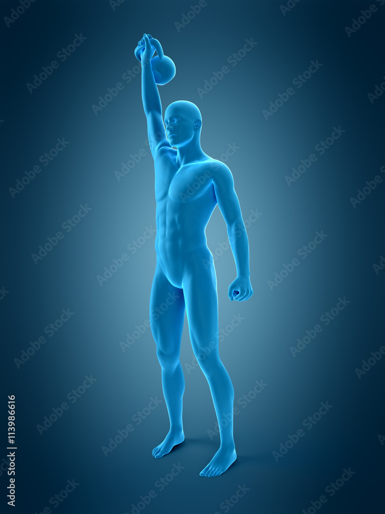 medically accurate 3d illustration of an athlete with kettle medically accurate 3d illustration of an athlete with kettle