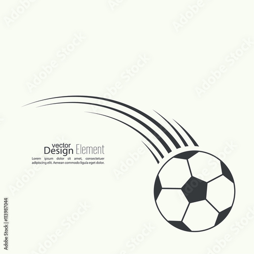 Vector icon  soccer ball.