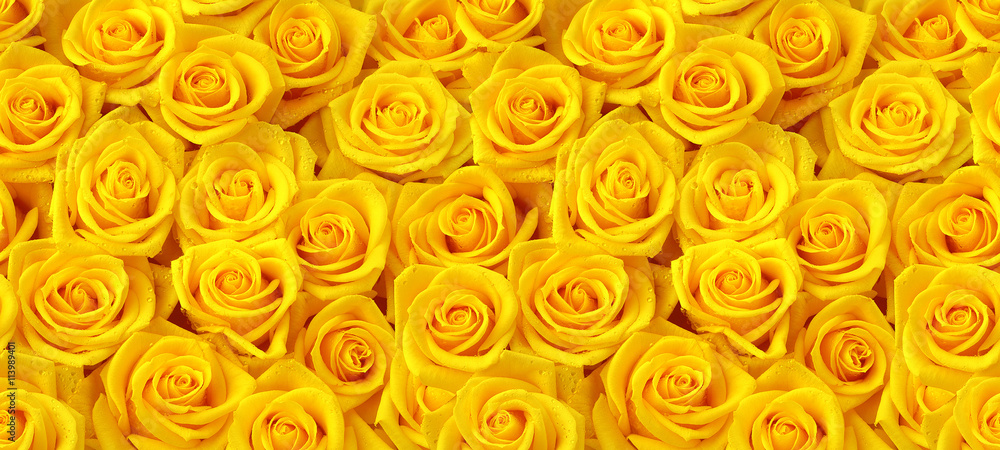 Naklejka premium Żółte róże bezszwowy wzór