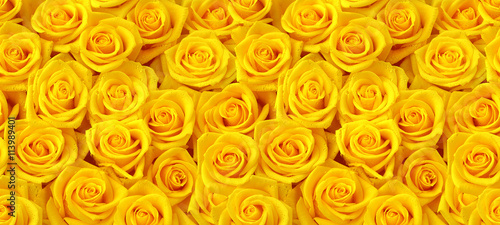 Yellow roses seamless pattern