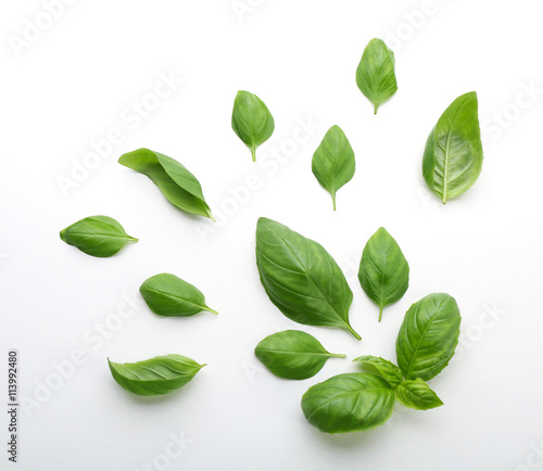 Fresh basil leaves on white background