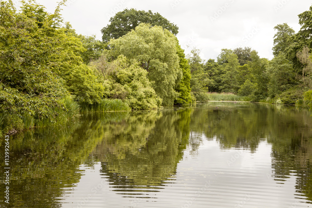 Obraz premium Reflections. A still and peaceful lake creates a mirror surface for lovely reflections of the summer foliage of the garden around it. An overcast day creates a sombre atmosphere.