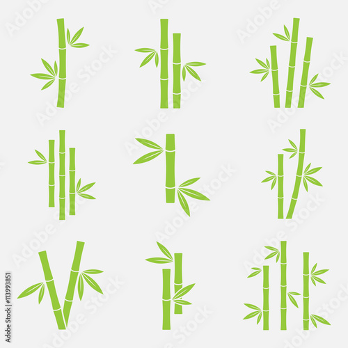 Bamboo vector icon photo