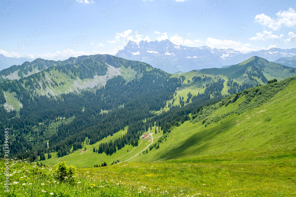 Beautiful green landscape with mountains in Alps, Portes du Soleil region touristic, France and Switzerland together.