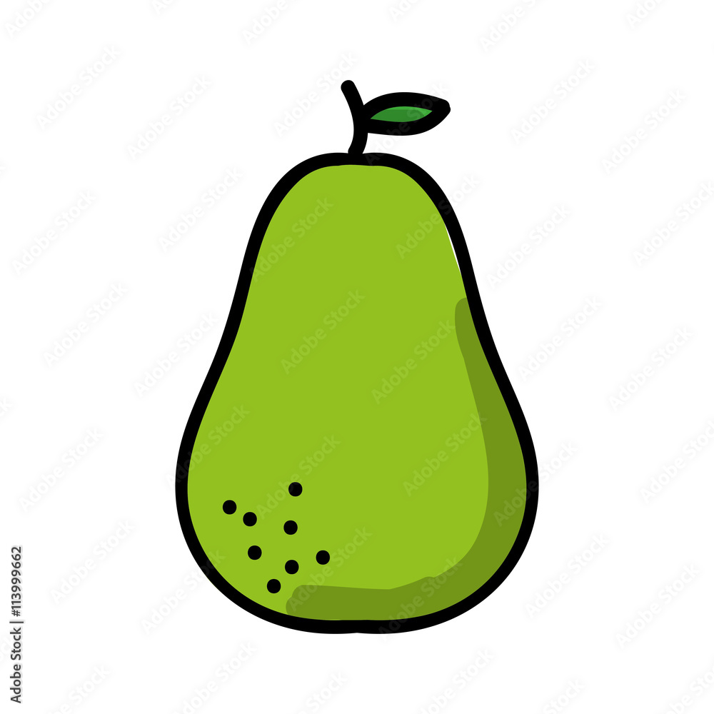 avocado fresh isolated icon design avocado fresh isolated icon design