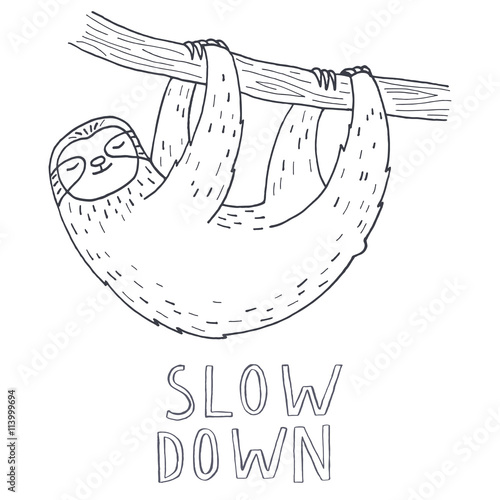 Hand drawn sloth on tree branch