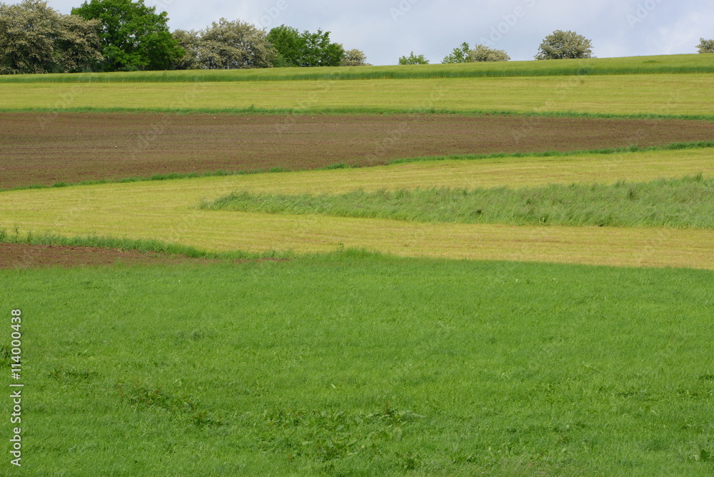 Obraz premium graphische Muster aus Acker, Feld und Wiese