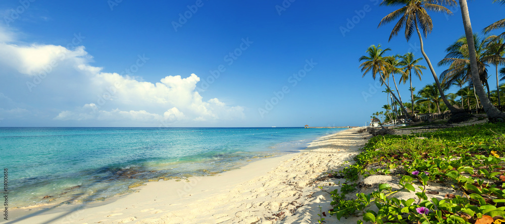 Tropical shores of  Dominican Republic.