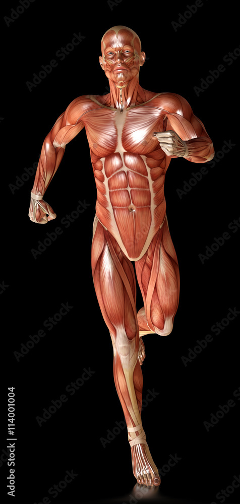 3d render of a male figure running 3d render of a male figure running