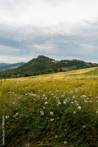 Colline reggiane photo