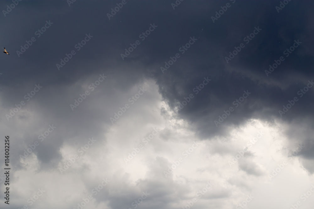 clouds in the sky as the background