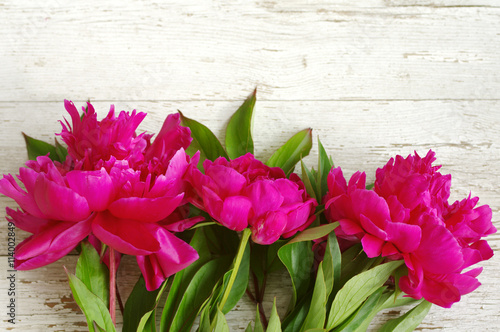 Pink peony flowers. Bouquet of pink peonies close up on the old painted wooden background