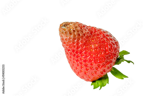 Bild auf Leinwand High resolution image of rotten strawberries
