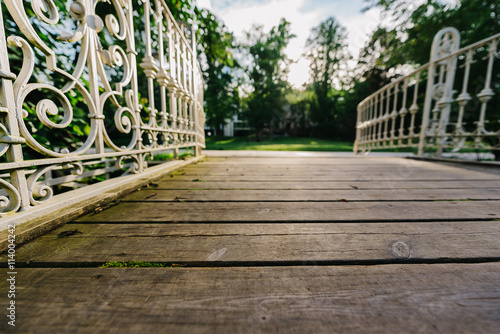 Beautiful Park Bridge Baden-Baden