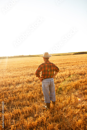 Senior farmer standing in a wheat field after harvest and looks into the distance © Zoran Zeremski