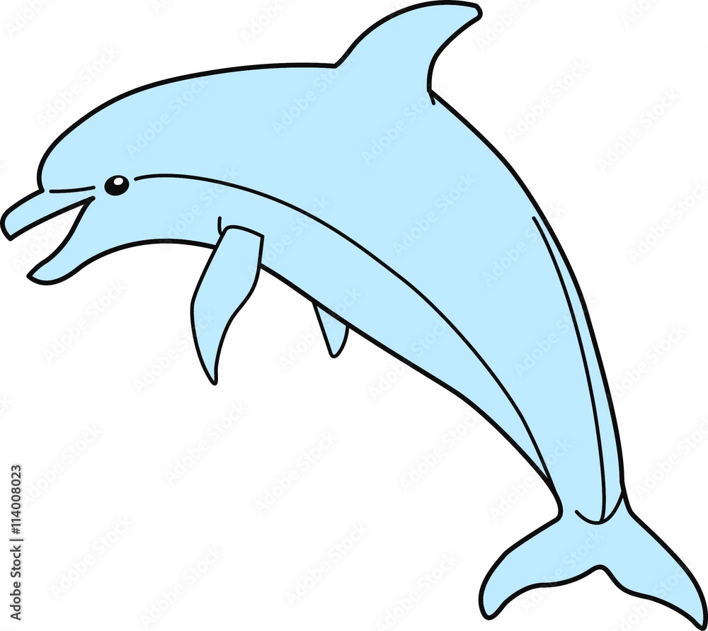 Fototapeta premium Dolfijn