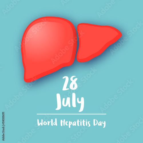 World Hepatitis Day vector illustration. Liver. Medical flat ill