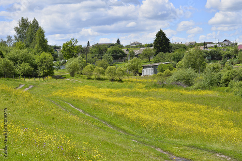 Rural landscape with road and houses flowering meadow