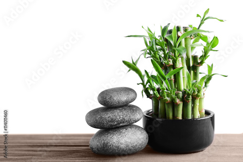 Spa composition with bamboo on light background