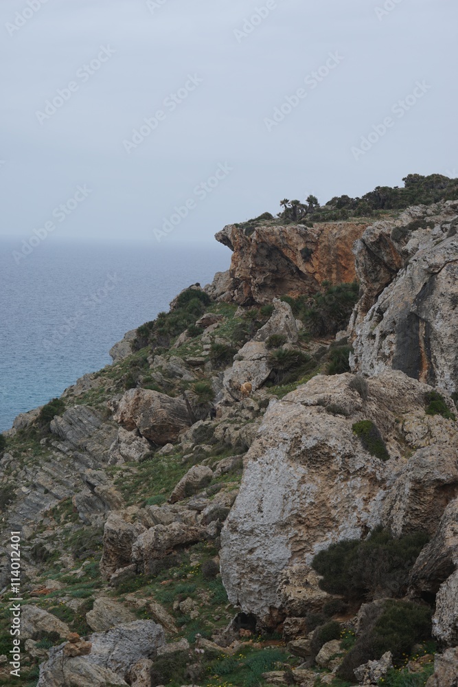 Steilküste an der Cala Mesquida - Mallorca