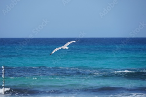 M  we   ber der Cala Mesquida