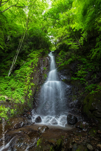 滝と新緑（愛媛県白糸の滝）