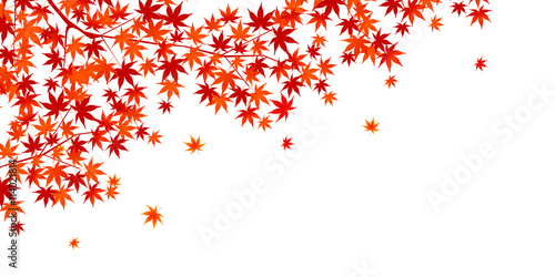 紅葉　秋　風景　背景