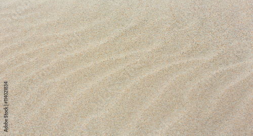 Sand background with barely visible waves.