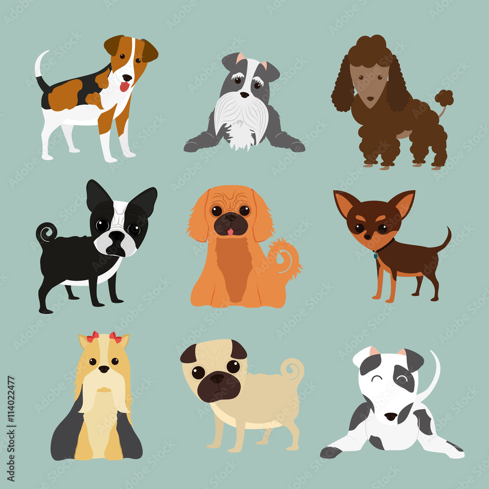 Fototapeta premium Pet design illustration