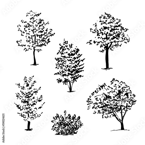 Set of isolated hand drawn tree sketches
