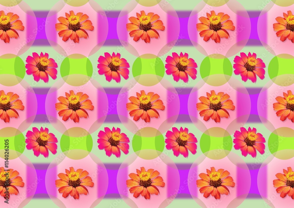 Gorgeous flower Backgrounds.