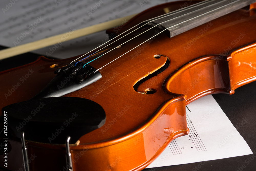 Fototapeta premium Violin