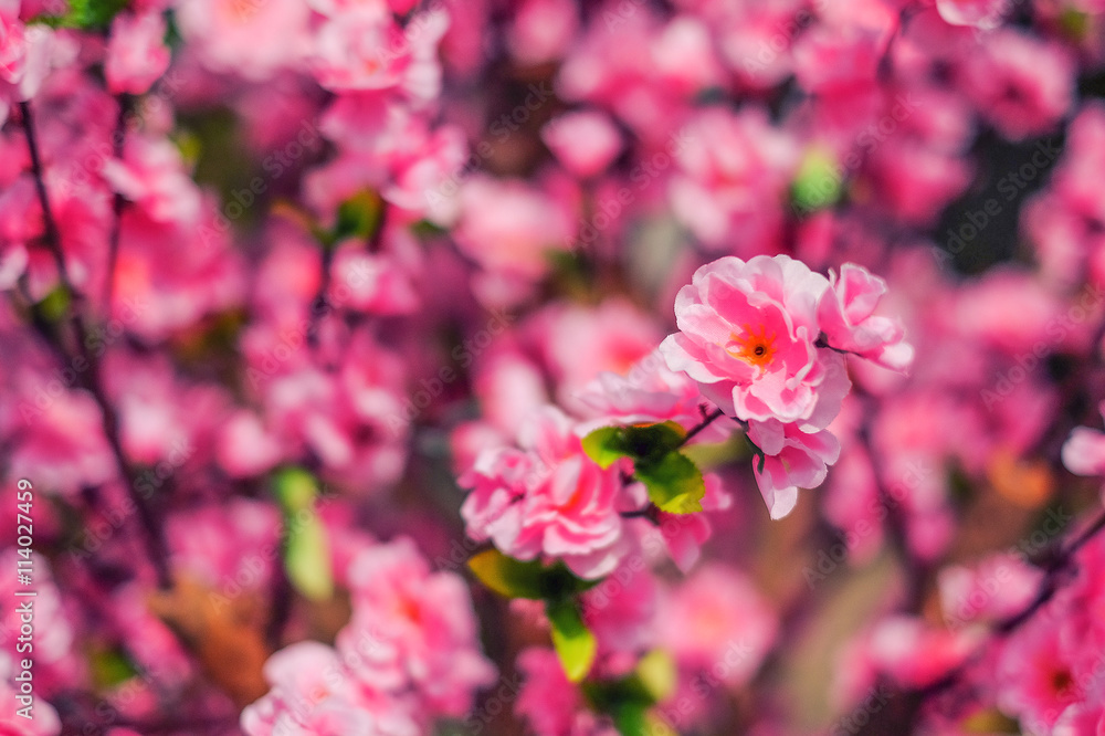 Pink Plastic Sakura flower Pink Plastic Sakura flower