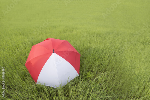 Red Umbrella in the green field