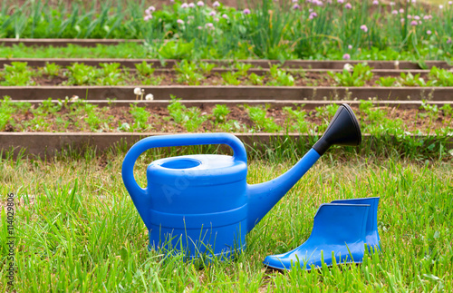 Colorful garden tools. watering can and rubber boots.