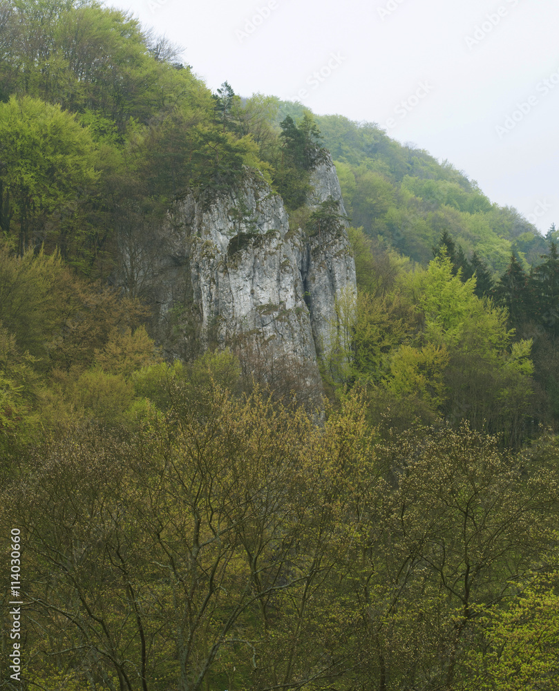 Fototapeta premium white rocks near Cracow - Poland