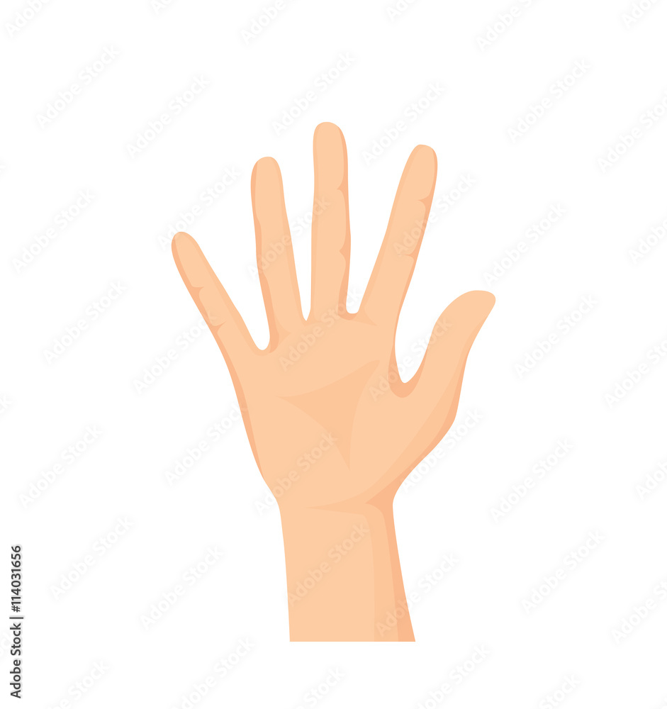 Vector of Opened palm of the hand Vector of Opened palm of the hand