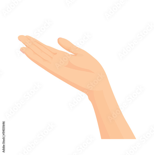 Vector of Beautiful female open hand isolated on a white background 