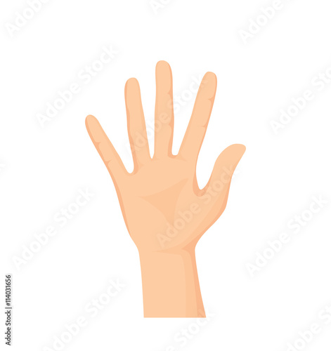 Vector of Opened palm of the hand