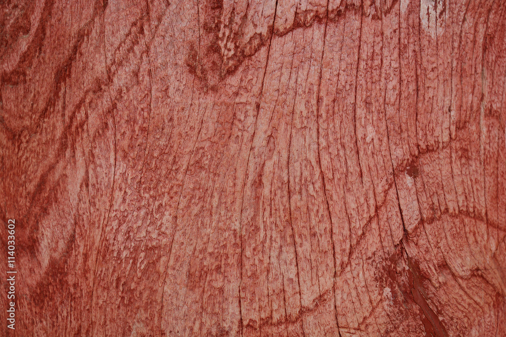 Obraz premium Old wood texture background