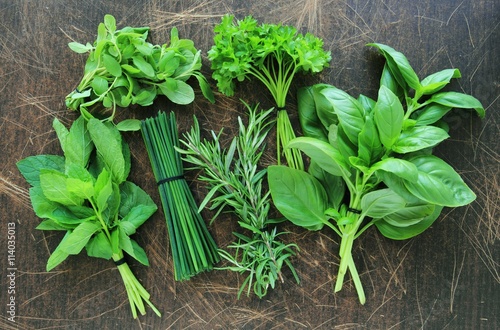 Collection of fresh herbs on wooden background