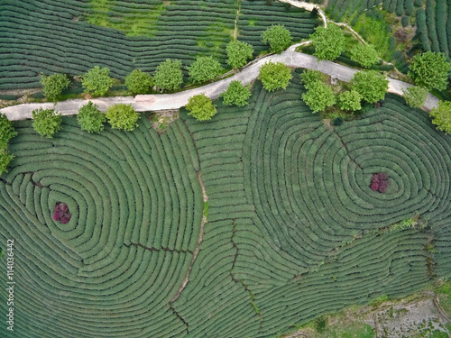 Aerial photography on top of the mountain tea garden landscape