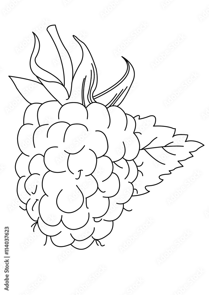 Raspberry Raspberry