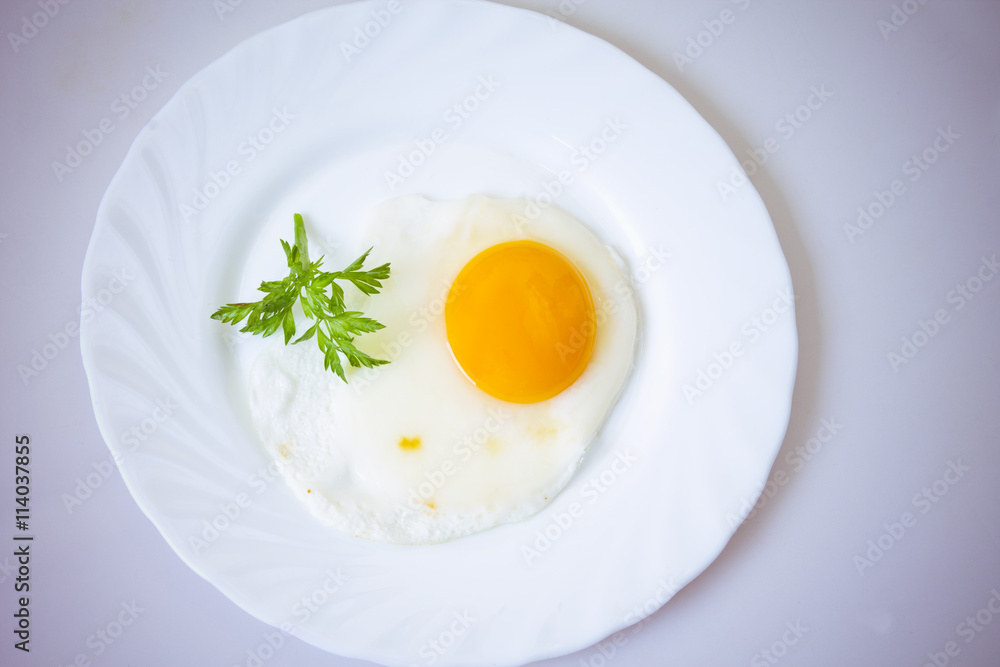 fried egg fried egg