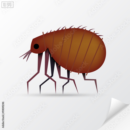 Cartoon brown insect flea in material style.