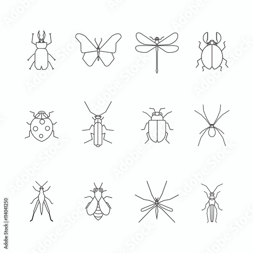 Insects thin line art icons set. © lumpra