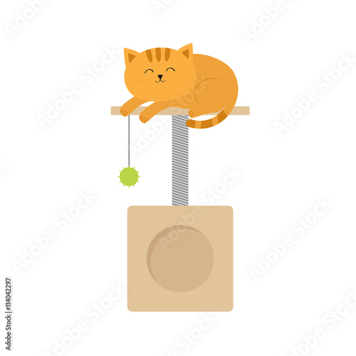 Cute lying sleeping orange cat. Moustache whisker. Funny cartoon character. Scrathing rope post. Square house with hanging ball toy. Isolated. White background. Pink and blue color. Flat design.